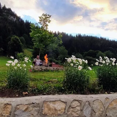 Devor Trabzon